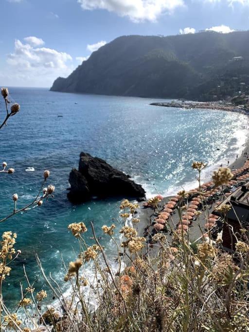 Historic Downtown Home By The Sea With King Bed Monterosso al Mare Exterior foto